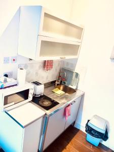 Η κουζίνα ή μικρή κουζίνα στο One Bed Studio Flat in Central London