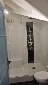 La salle de bains blanche est pourvue d'une douche et de toilettes. dans l'établissement La Mangotine - Duplex à Saint François avec piscine, à Saint-François