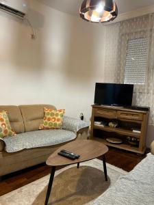 a living room with a couch and a tv at Apartment Sara in Podgorica