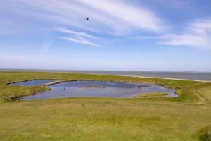 a bird flying over a field with two pools of water at Anker's Hörn - Hotel & Restaurant auf der Hallig Langeness in Langeneß