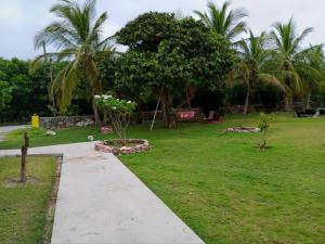 a park with palm trees and a sidewalk at Surfers Manor Motel in Gregory Town