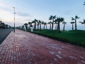 un trottoir en briques avec des palmiers sur le côté d'une route dans l'établissement Porto Said Resort Rentals, à Port-Saïd