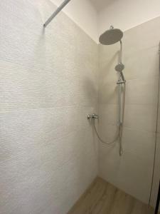 La salle de bains est pourvue d'une douche avec un pommeau de douche. dans l'établissement Gemma Mediterranea, à Campomarino