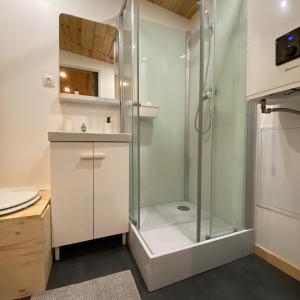 La salle de bains est pourvue d'une douche avec une porte en verre. dans l'établissement L’Escargoterie de la Forge - Immersion Champêtre, à Uzemain