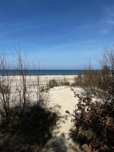 a sandy beach with the ocean in the background at Przy Kolonijnej in Ostrowo