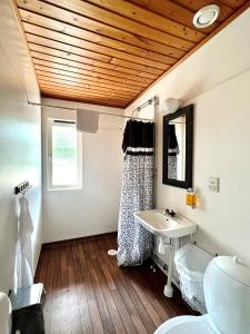 a bathroom with a sink and a toilet and a mirror at STF Korrö B&B in Linneryd