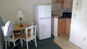 Kuchyň nebo kuchyňský kout v ubytování VILLAGE GREEN MOTEL