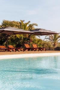 grupa krzeseł siedzących na plaży obok basenu w obiekcie Relax w mieście Vieste