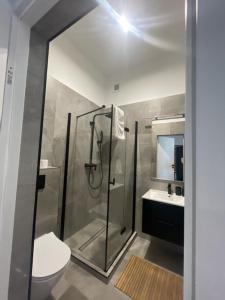 een badkamer met een douche, een toilet en een wastafel bij Apartament LOFT in Ostróda