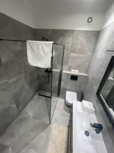 a bathroom with a shower and a toilet and a sink at Apartament LOFT in Ostróda