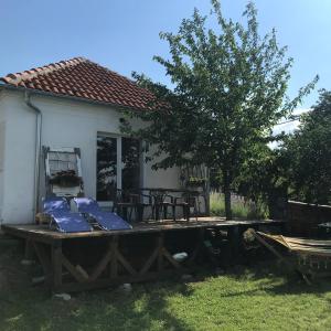 Zahrada ubytování Vila Juliana