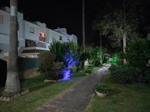 uma rua à noite com luzes azuis nas árvores em Dúplex Casa Ana Apartaclub La Barrosa em Chiclana de la Frontera