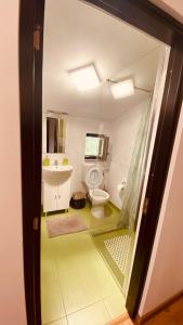 een badkamer met een toilet en een wastafel bij Casa dintre Brazi in Statjunea Borsa