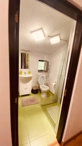 a bathroom with a toilet and a sink at Casa dintre Brazi in Statjunea Borsa