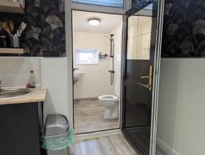 a bathroom with a shower and a toilet at Budget 1 Bedroom Flat Inner-City Value in Cardiff