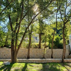 a group of trees in front of a stone wall at Green Hill Apartments in Ulcinj