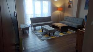 Sala de estar con 2 sofás y mesa de centro en Luna Apartment, en Kumanovo