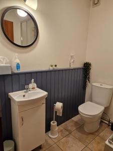 a bathroom with a toilet and a sink and a mirror at Húsid Guesthouse in Reykholt