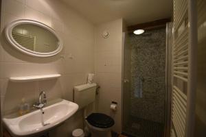 a bathroom with a sink and a shower with a mirror at Meschermolen 14 in Mesch