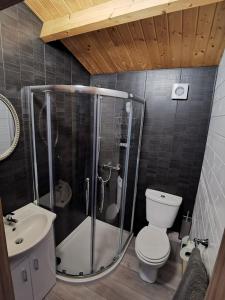 a bathroom with a shower and a toilet and a sink at Westport Country Chalets in Westport