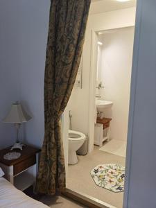 a bathroom with a toilet and a shower curtain at Soupiets in Betpouey