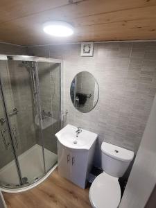 a bathroom with a toilet and a shower and a sink at Westport Country Chalets in Westport