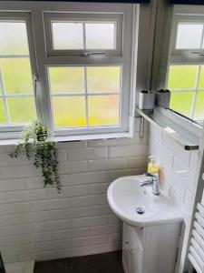 ein weißes Badezimmer mit Waschbecken und Fenster in der Unterkunft Braunton Beach Boutique in Wrafton + 49 Fotos