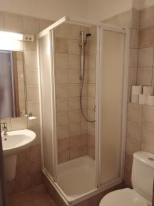 a bathroom with a shower and a toilet and a sink at DAZ Dunai Apartman Zalakros in Zalakaros