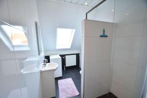 Ένα μπάνιο στο Vrijvakantiehuis Reigersberg 10 +15 φωτογραφίες