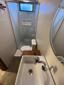 La salle de bains est pourvue d'un lavabo et de toilettes. dans l'établissement Local Hostel Novo Airão, à Novo Airão