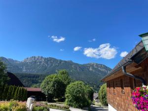 Splošen pogled na gorovje oz. razgled na gore, ki ga ponuja apartma