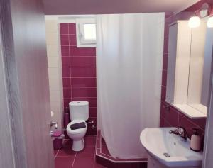 a bathroom with a white toilet and a sink at Melistalia apartment 2 in Nea Michaniona