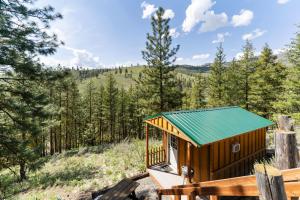 a cabin in the woods with a green roof at Echo Valley Resort + Cabins in Manson