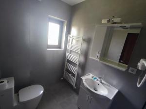 Koupelna v ubytování Casa Sturz