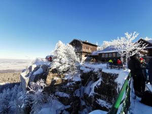 Agroturystyka Zielony Ogród om vinteren