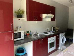 een keuken met rode kasten, een wastafel en een magnetron bij Cavone 1 in Castellare-di-Casinca