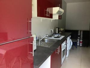 een keuken met een wastafel en een rode muur bij Cavone 1 in Castellare-di-Casinca