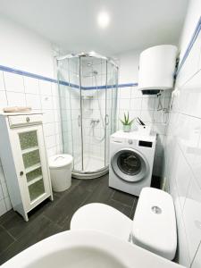 een badkamer met een toilet en een wasmachine bij Casa Harmonia in La Pared