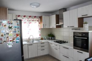 Kuchyň nebo kuchyňský kout v ubytování Apartman Marija