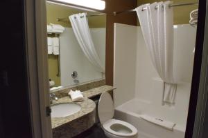 Koupelna v ubytování Microtel Inn and Suites Pecos