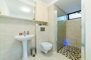 uma casa de banho com um WC, um lavatório e um chuveiro em Sabin Apartments Private Parking em Braşov