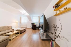 uma sala de estar com um sofá e uma televisão em Sabin Apartments Private Parking em Brasov