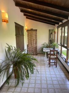 een patio met een tafel, stoelen en planten bij B&B Casa Hernández in San Lorenzo