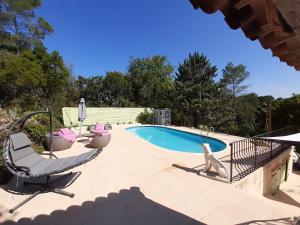 a swimming pool with two chairs and a dog statue next to it at La Bergerie in Lorgues