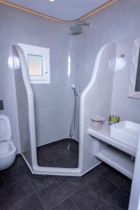 a bathroom with a shower and a toilet and a sink at Aegean Gold in Kamari