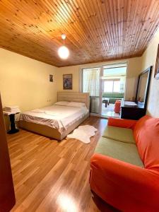 吉諾卡斯特的住宿－Blue Guesthouse，一间卧室配有一张床和一张沙发