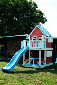 une aire de jeux avec un toboggan et une maison de jeux dans l'établissement Casa cu Elefanți, à Corbşori