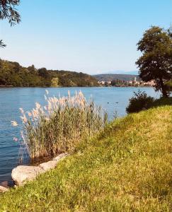 uma colina relvada ao lado de um corpo de água em Your Place By The Lake - near Leonardo Academy, MXP em Sesto Calende