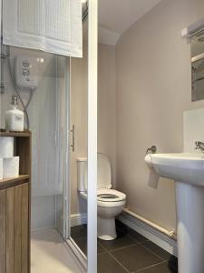 a bathroom with a toilet and a sink at The Crewe Arms in Hinton in the Hedges