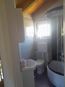 W łazience znajduje się toaleta, umywalka i prysznic. w obiekcie Apartman Kolona w mieście Tkon